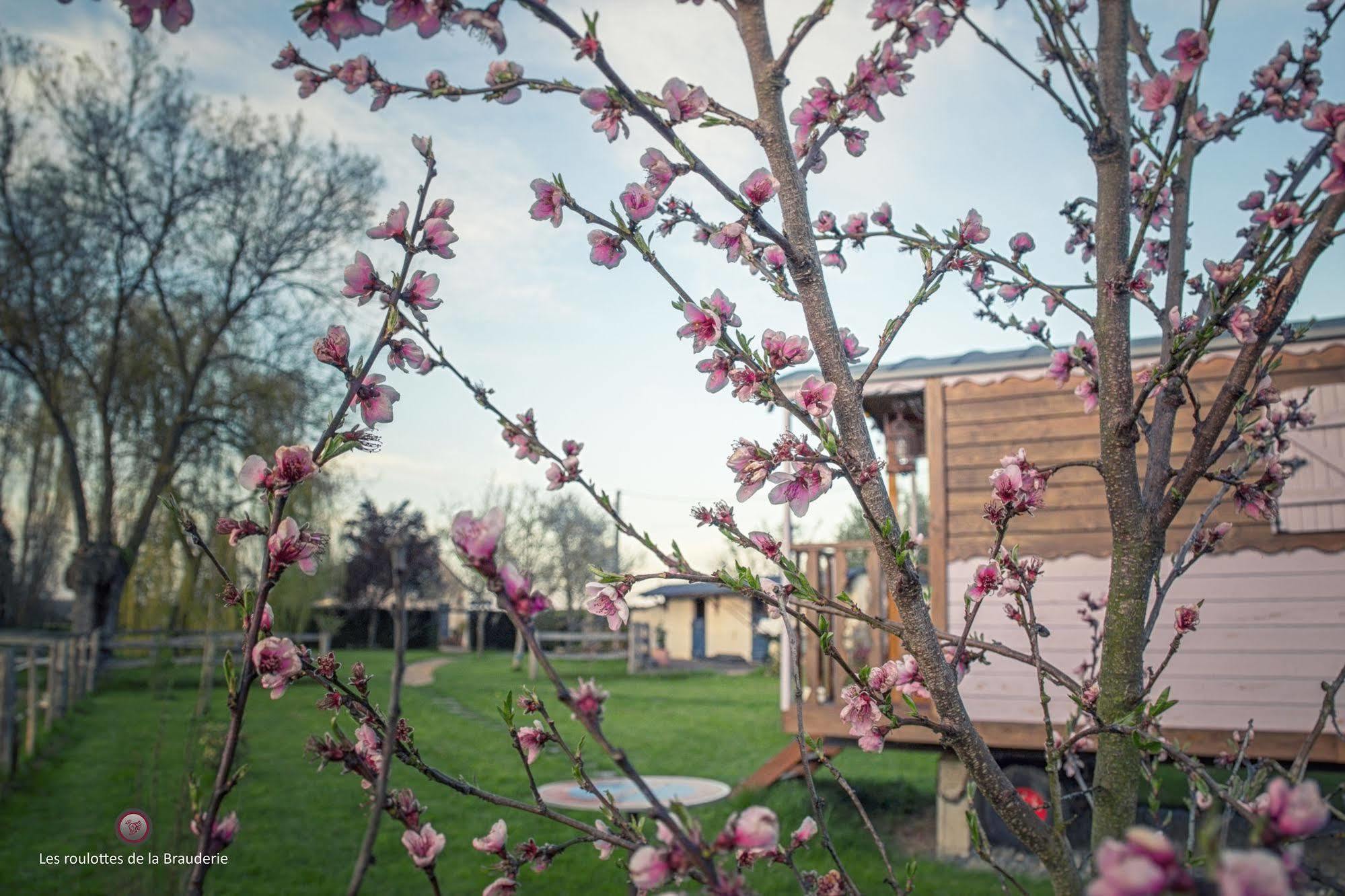 Les Roulottes De La Brauderie Villa Brissarthe Екстериор снимка